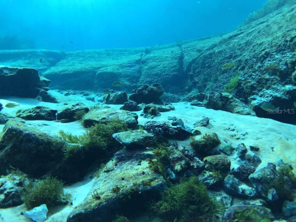 SW 108th St., Dunnellon, FL 34432