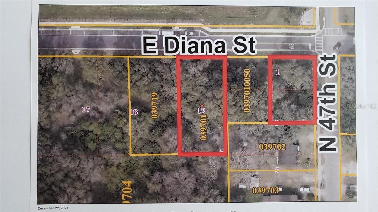 E Diana St., Tampa, FL 33610
