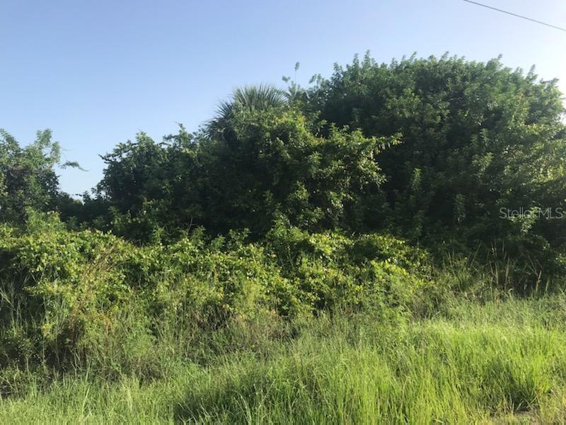 4003 12th St., Lehigh Acres, FL 33976