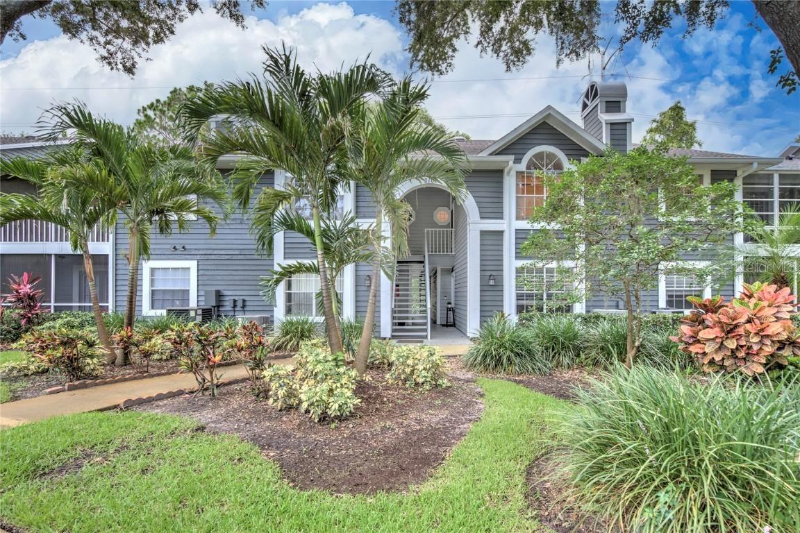 2101 Fox Chase Blvd. #203, Palm Harbor, FL 34683