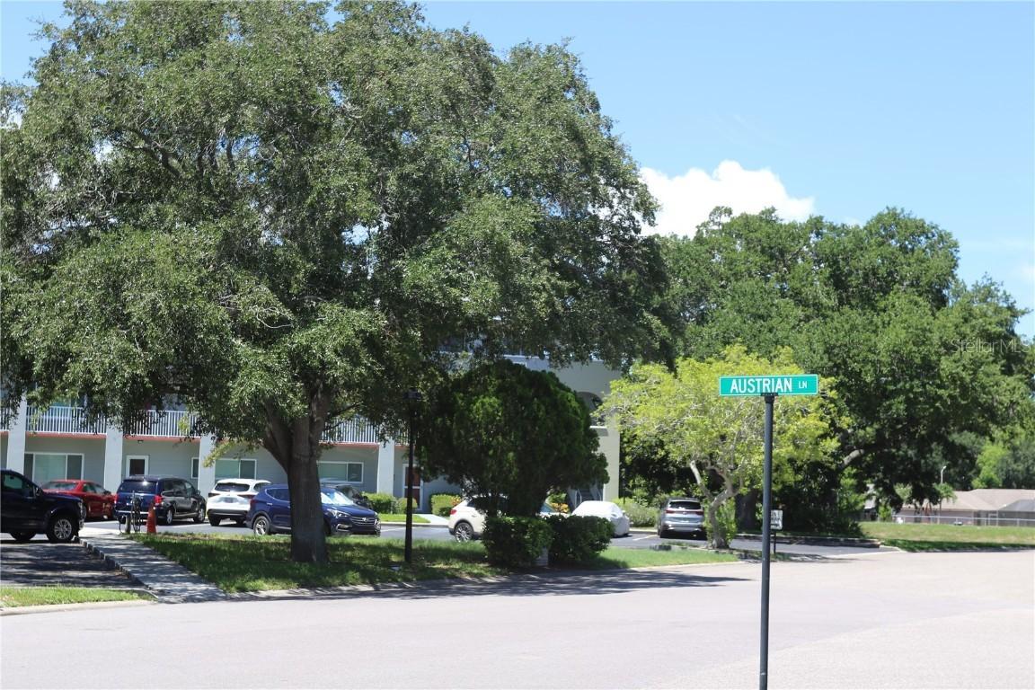 2293 Austrian Ln. #41, Clearwater, FL 33763