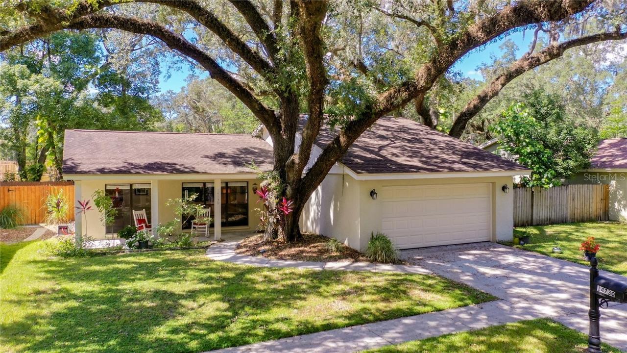 14730 Oak Vine Dr., Lutz, FL 33559