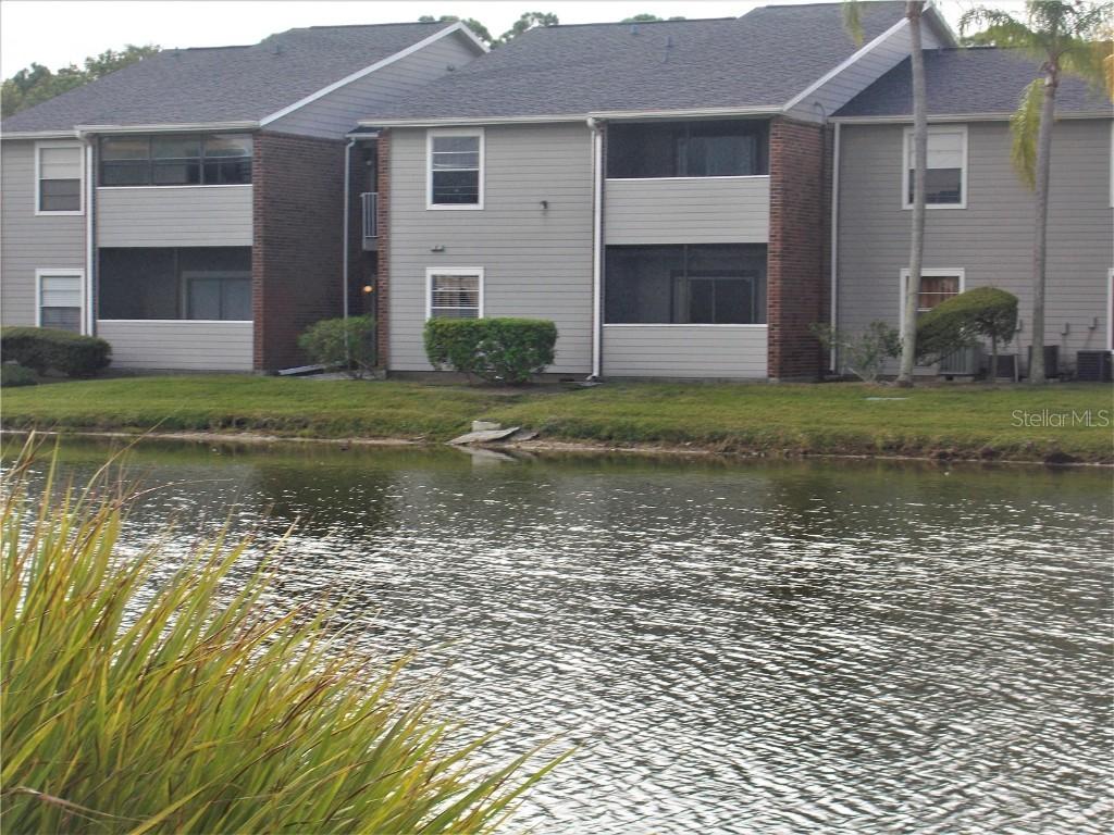 1400 Gandy Blvd. #411, St Petersburg, FL 33702