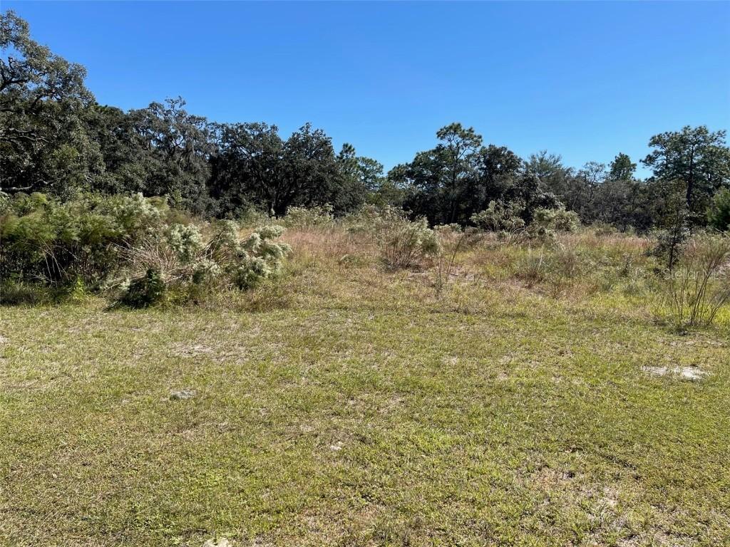 17942 Oggie Ln., Hudson, FL 34667