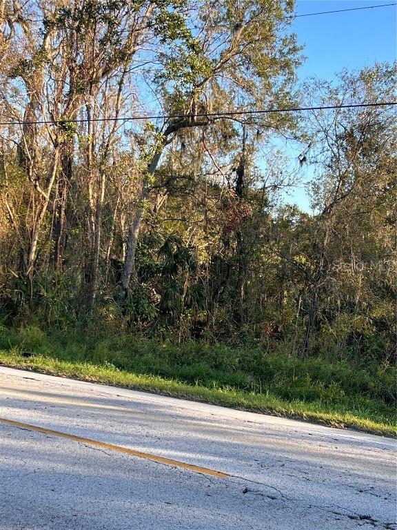 18113 672 Hwy., Lithia, FL 33547