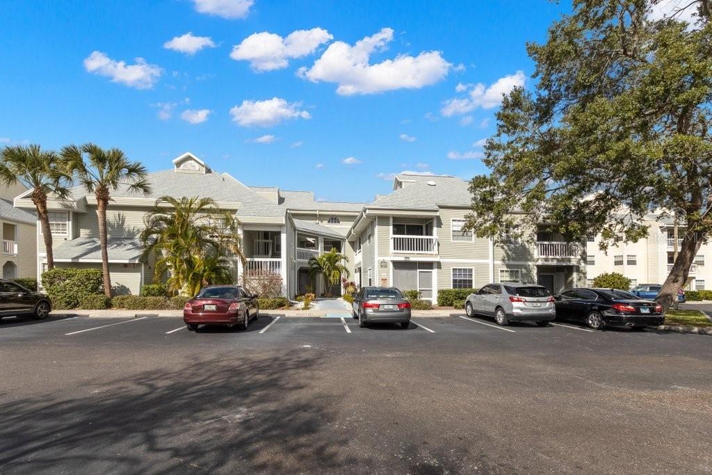 6923 Stonesthrow Cir. #4204, St Petersburg, FL 33710