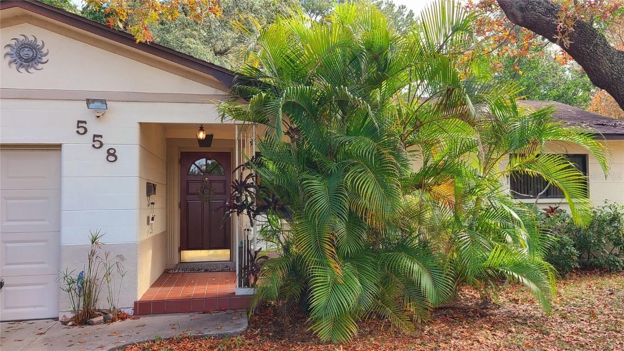 558 64th St., St Petersburg, FL 33707
