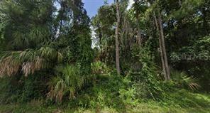 Allamanda Ave., North Port, FL 34288