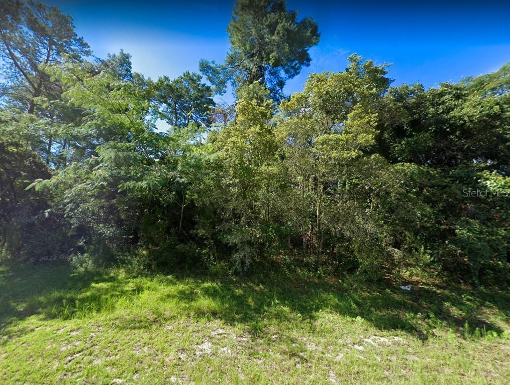 SW 172 Place Rd., Ocala, FL 34473
