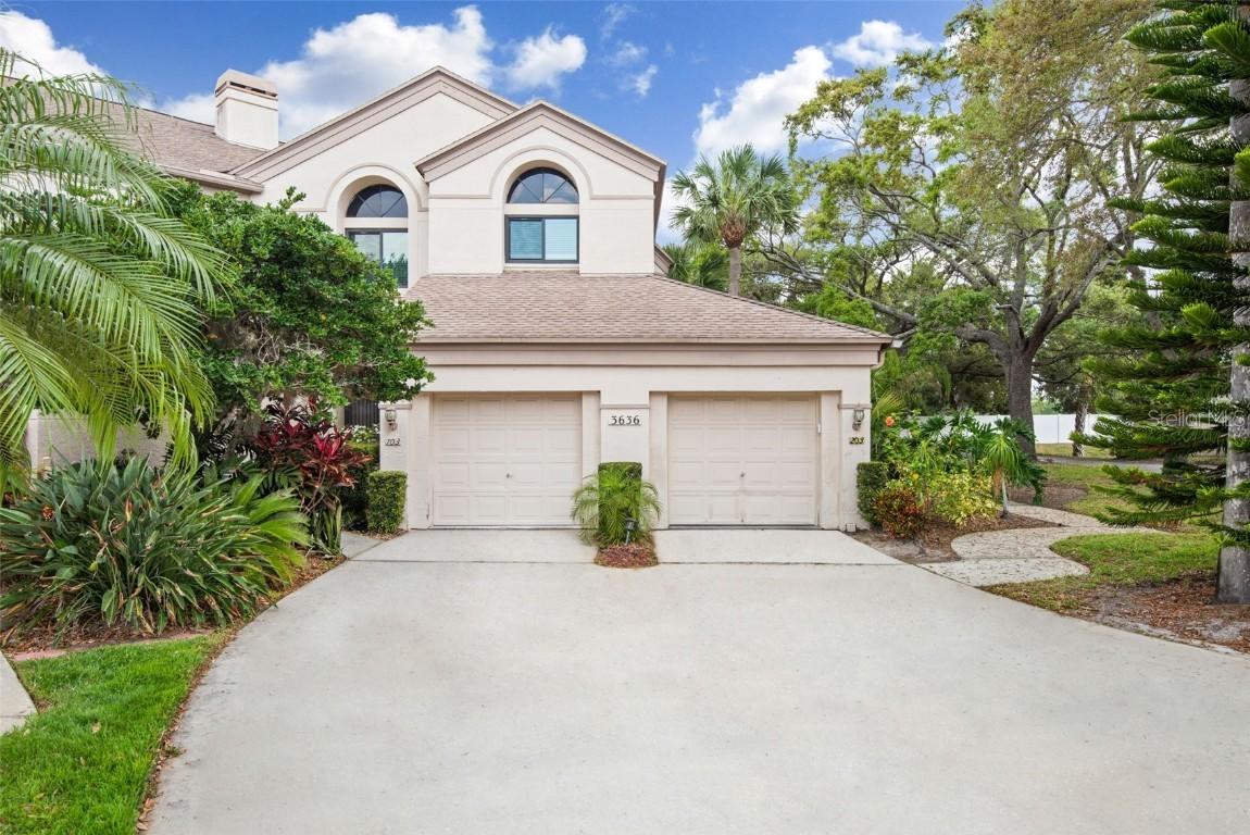 3636 Oak Haven Dr. #203, Palm Harbor, FL 34684