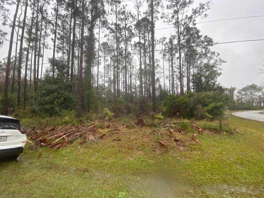 2 Zamia Pl., Palm Coast, FL 32164