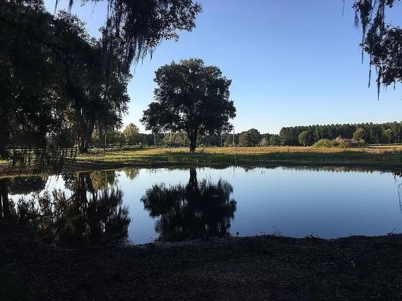 New Homes For Sale This Week in Reddick: March 17th to March 23rd