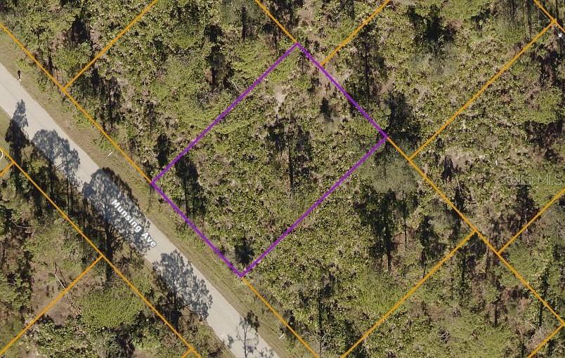 Munsing Ave., North Port, FL 34291
