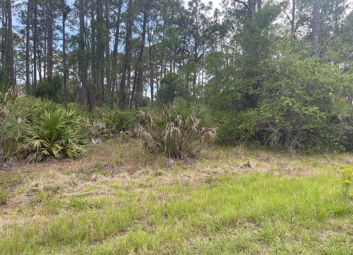 0954126609 Averette Ave., North Port, FL 34291
