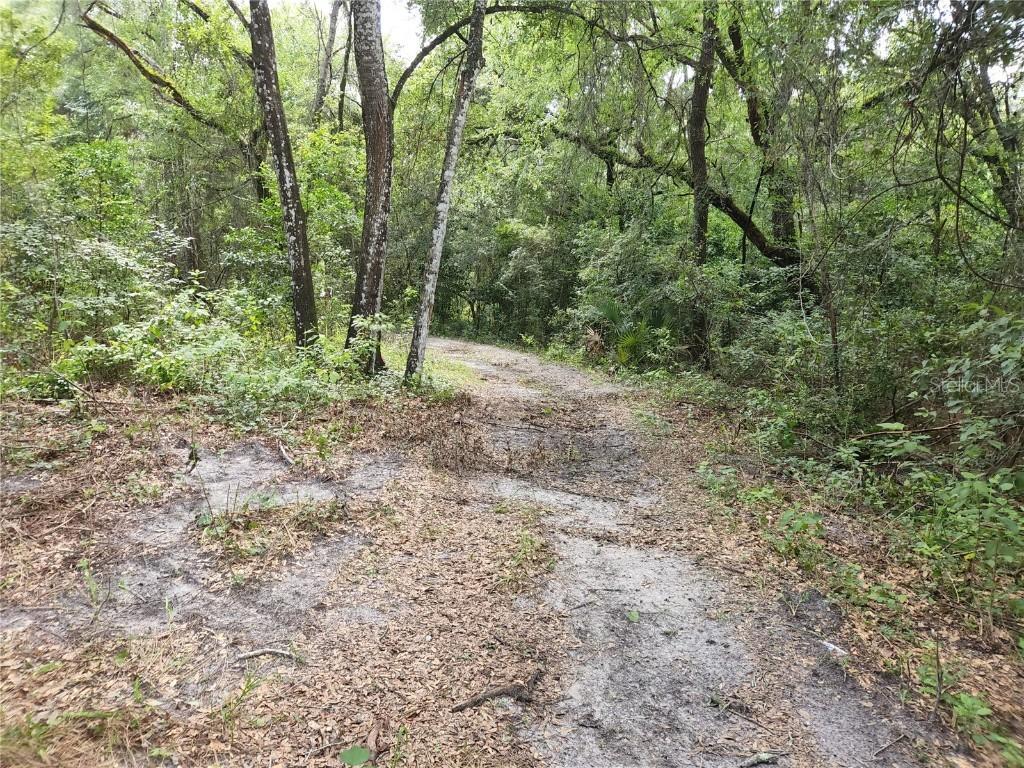 17454 Us 41 Dr., Spring Hill, FL 34610