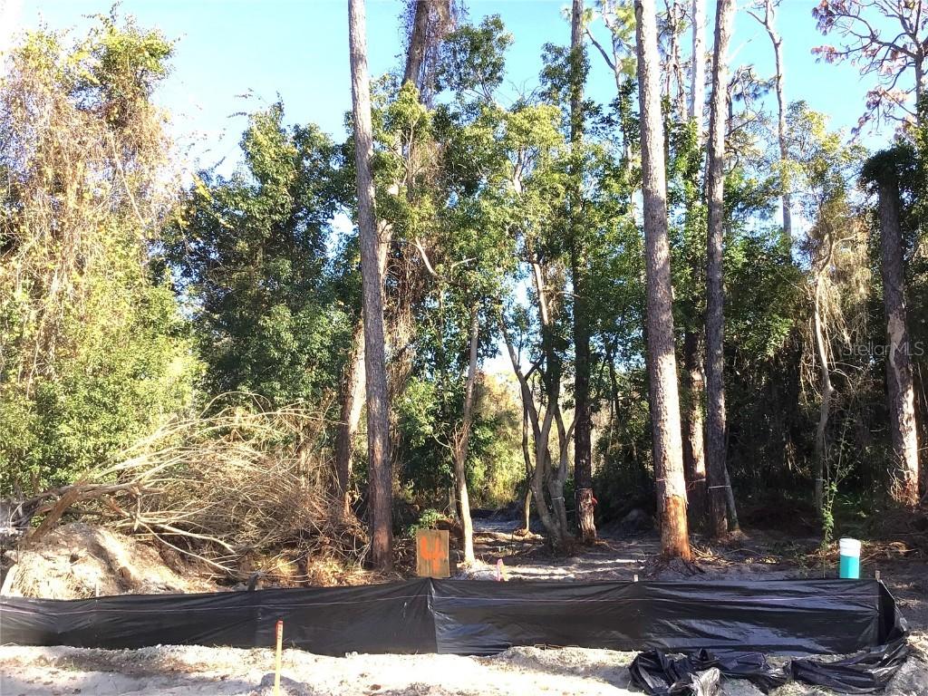 1299 Almaria Ct., Palm Harbor, FL 34683