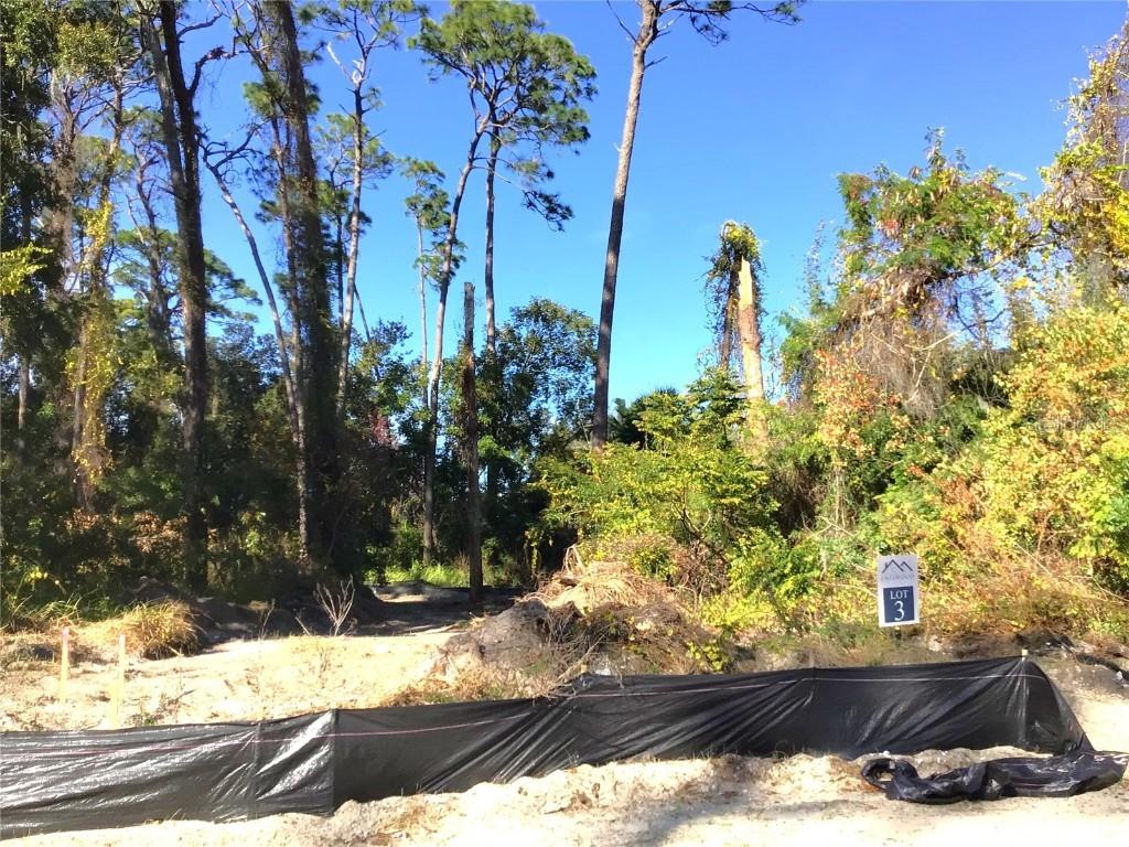 1299 Almaria Ct., Palm Harbor, FL 34683