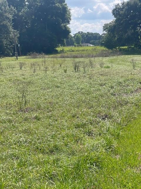 [Address Hidden by Seller], Wildwood, FL 34785