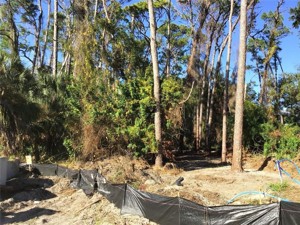 1289 Almaria Ct., Palm Harbor, FL 34683