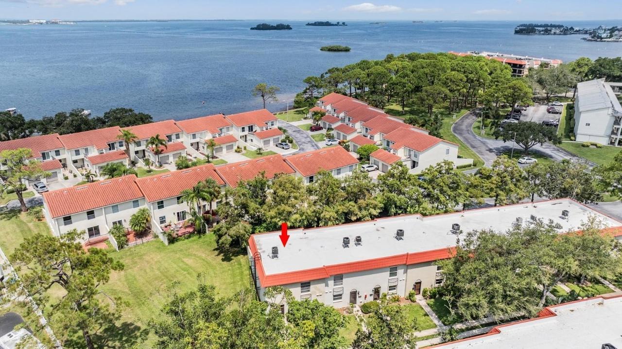2700 Bayshore Blvd. #559, Dunedin, FL 34698