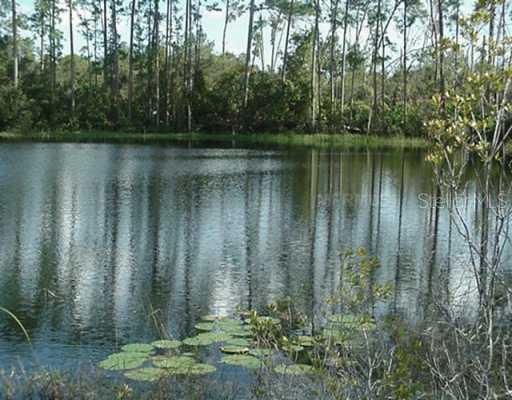 110 Pond Ct., DeBary, FL 32713