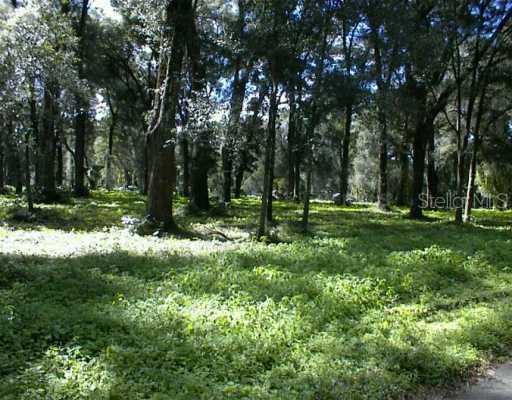 Retta St., De Leon Springs, FL 32130