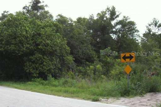 Reynolds Rd., De Leon Springs, FL 32130