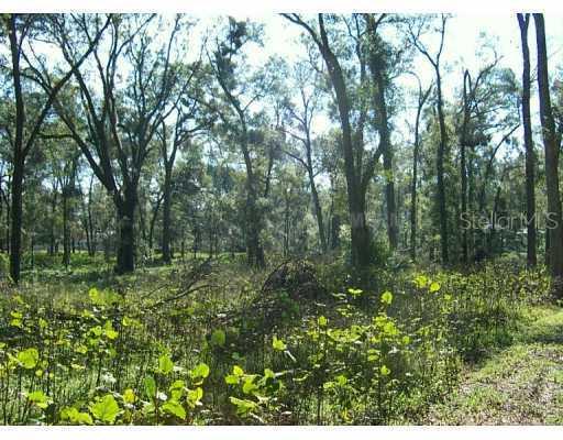 E Retta St., De Leon Springs, FL 32130
