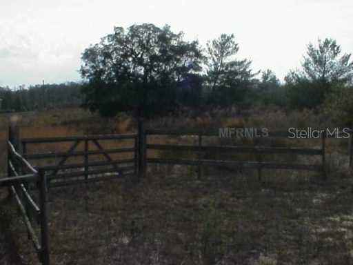 Bridleland Rd., De Leon Springs, FL 32130