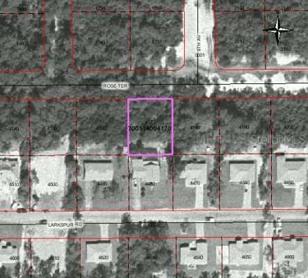 Rose Terrace Dr., DeLand, FL 32724