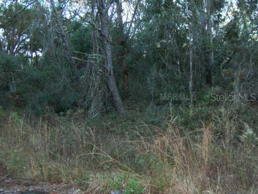 Wauchula Ave., De Leon Springs, FL 32130