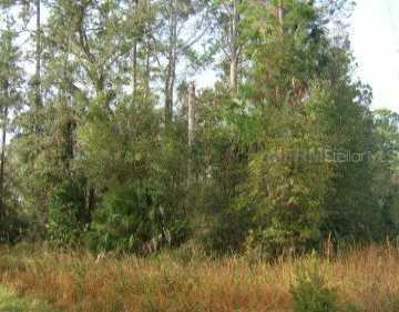 Reynolds Rd., De Leon Springs, FL 32130