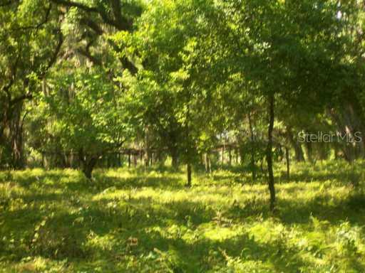 West St., De Leon Springs, FL 32130