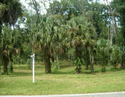 Deerfoot Rd., DeLand, FL 32724