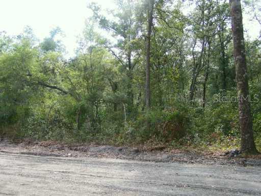 Spring Garden Ranch Rd., De Leon Springs, FL 32130