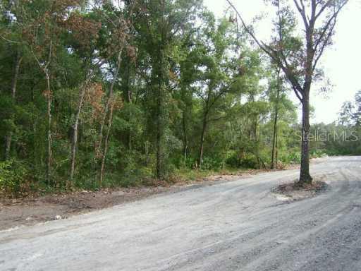Spring Garden Ranch Rd., De Leon Springs, FL 32130