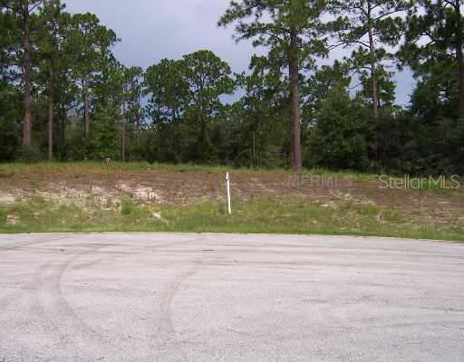 1730 Timber Oaks Ct., DeLand, FL 32724