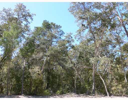 3533 Dunstable Dr., DeLand, FL 32720