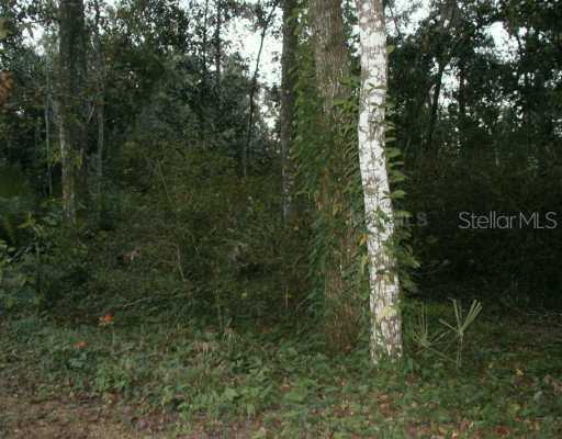 Cr 42, DeLand, FL 32720