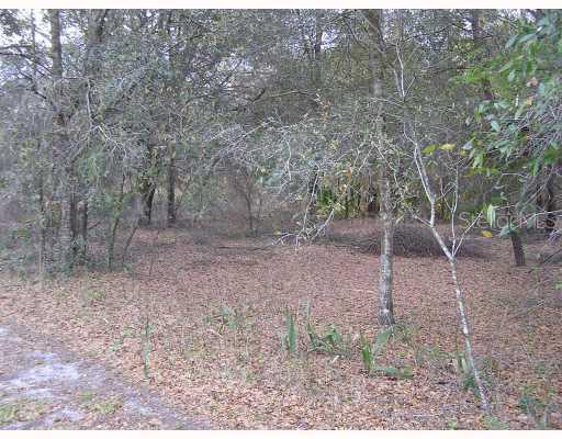 3876 Grand Ave., DeLand, FL 32720