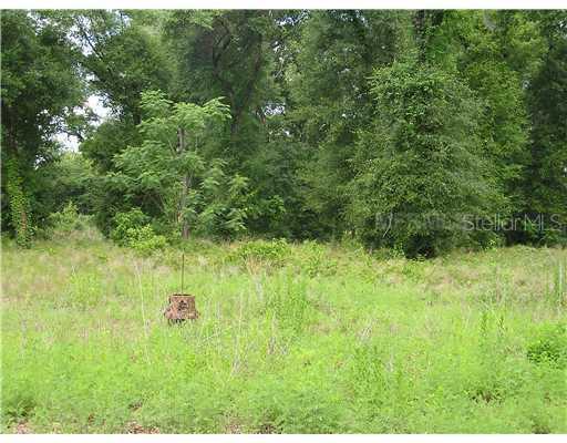 205 Wildwood Oaks Ln., DeLand, FL 32720