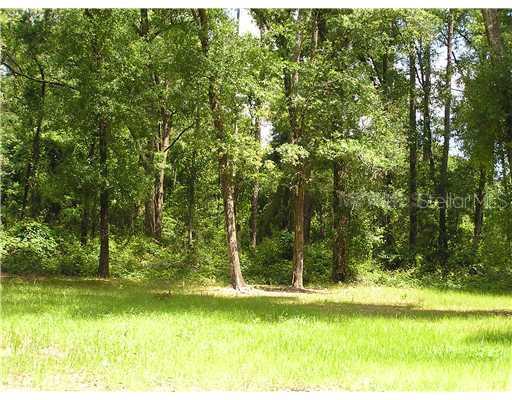 265 Wildwood Oaks Ln., DeLand, FL 32720