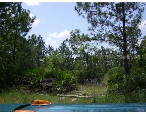 3615 Needles Dr., Ormond Beach, FL 32174