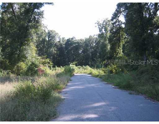 260 Mercers Fernery Rd., Deland, FL 32720