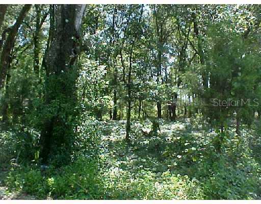 Spring Garden, DeLand, FL 32720