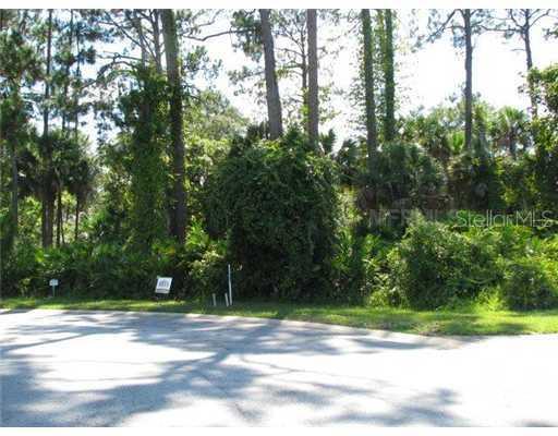 408 Jasper Dr., Flagler Beach, FL 32136