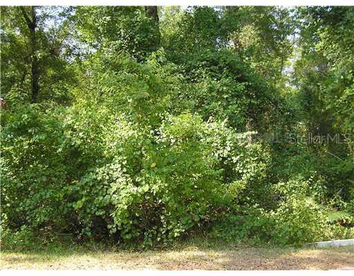 Van Cleef Rd., DeLand, FL 32720