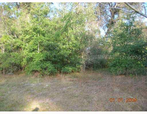 221 S Ridgewood Ave., DeLand, FL 32720