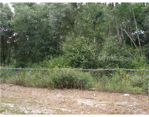Country, Eustis, FL 32736