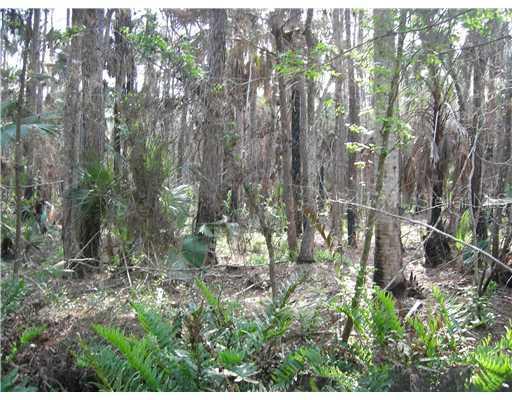 Alco Road Lot 49, Astor, FL 32102
